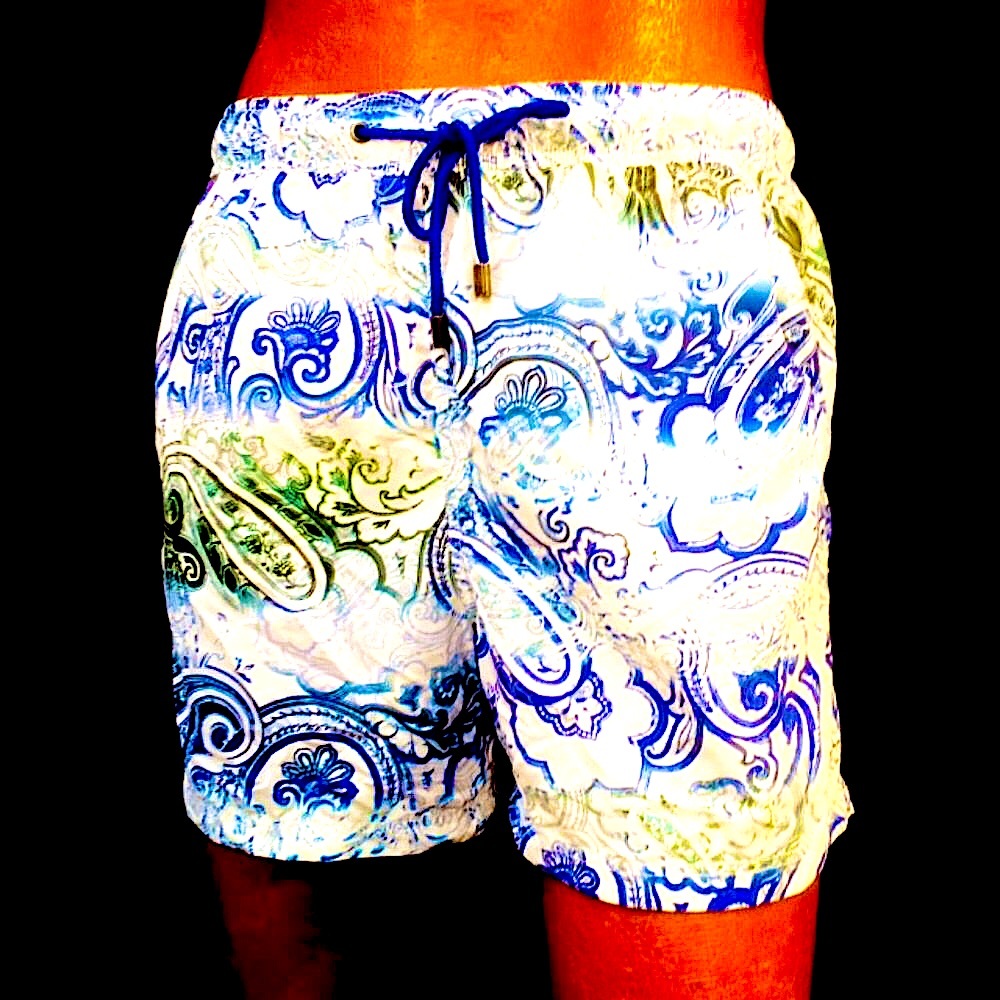 Etro Italy Men's Swim Trunks